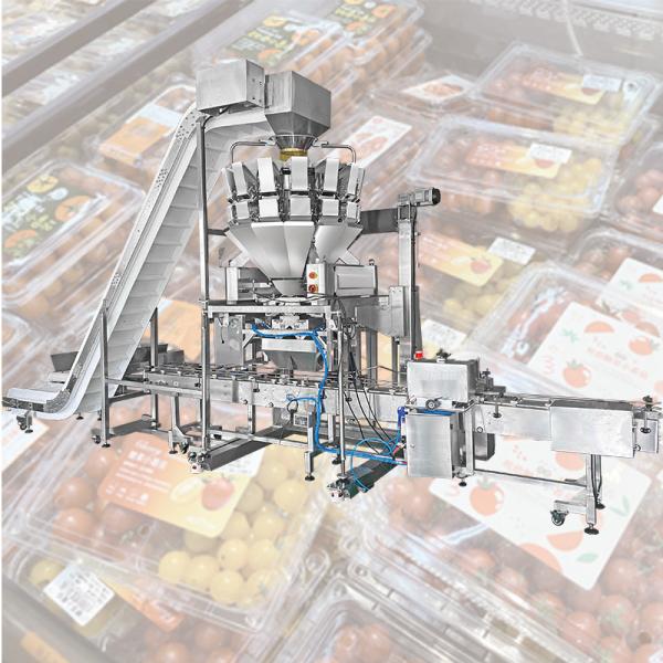 Cherry Tomato Blueberry Fresh Fruit Multihead Weigher Carton Box Filling Packing