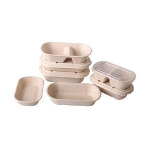 Quality Sugarcane Compostable Freezer Containers Take Away Food Packaging Safe Disposable wholesale