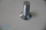 Two Nibs Bolts Carbon Steel M12X40 Non Standard Fasteners