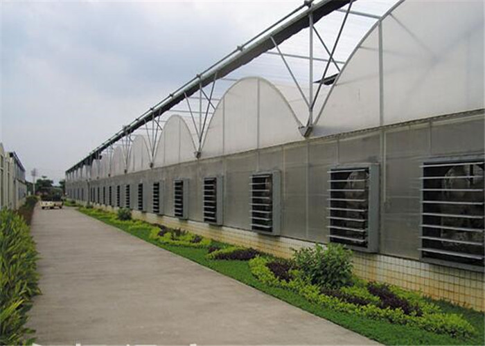 High Durability Plastic Film Greenhouse Great Space Efficient Performance