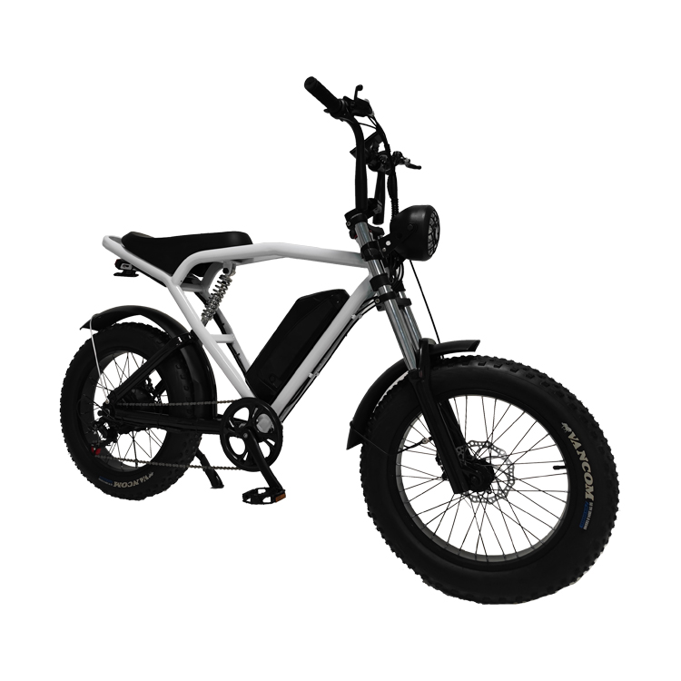 Off-Road 20*4.0 Kenda Tire Electric Bike For Thrilling Rides And Fast Shipping