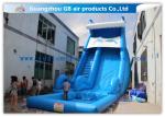 Blue Dolphin Inflatable Rental Water Slides Bounce House For Big Kids /
