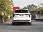In Stock China EHS9 executive auto electrico new energy vehicles grade pure
