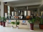 SUS304 Craft Beer Brewing Equipment 20bbl With Carbonation Stone PLC Control