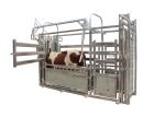 Cattle Crush Galvanized Livestock Fencing Galvanized Steel Fence
