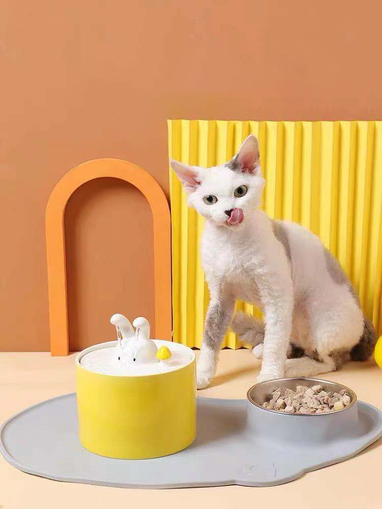 Dog Water Bowl Drinking Dispenser Rounded Automatic Pet Fountain Cats and Dogs All Sizes