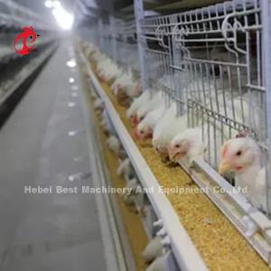 Quality 96 Birds / 128 Birds Broiler Cage System A Type Or H Type In African Market Iris wholesale