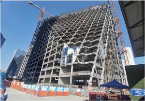 Quality Customization Steel Structure High Rise Building Conference Hall CE Certified wholesale