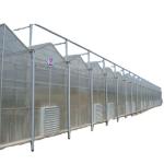 Polycarbonate Sheet Covering Transparent Solar Panels for Greenhouses in High