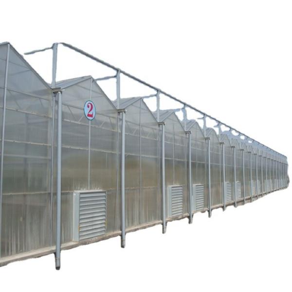 Polycarbonate Sheet Covering Transparent Solar Panels for Greenhouses in High