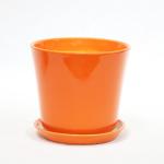 Beauty And Functionality Of Ceramic Pots For Any Plant Shop Small Size