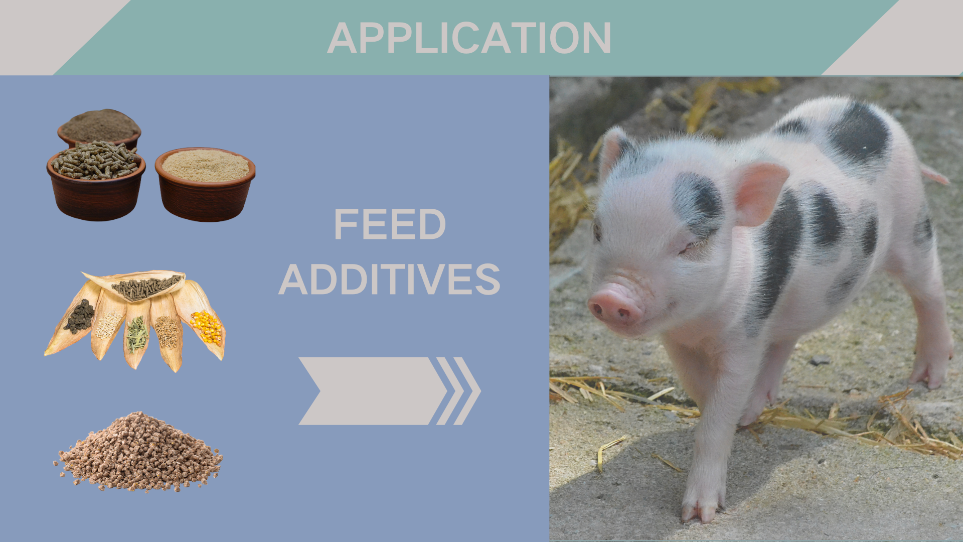 Animal Pharmaceuticals DL Methionine Powder Feed Additives for Poultry and Livestock