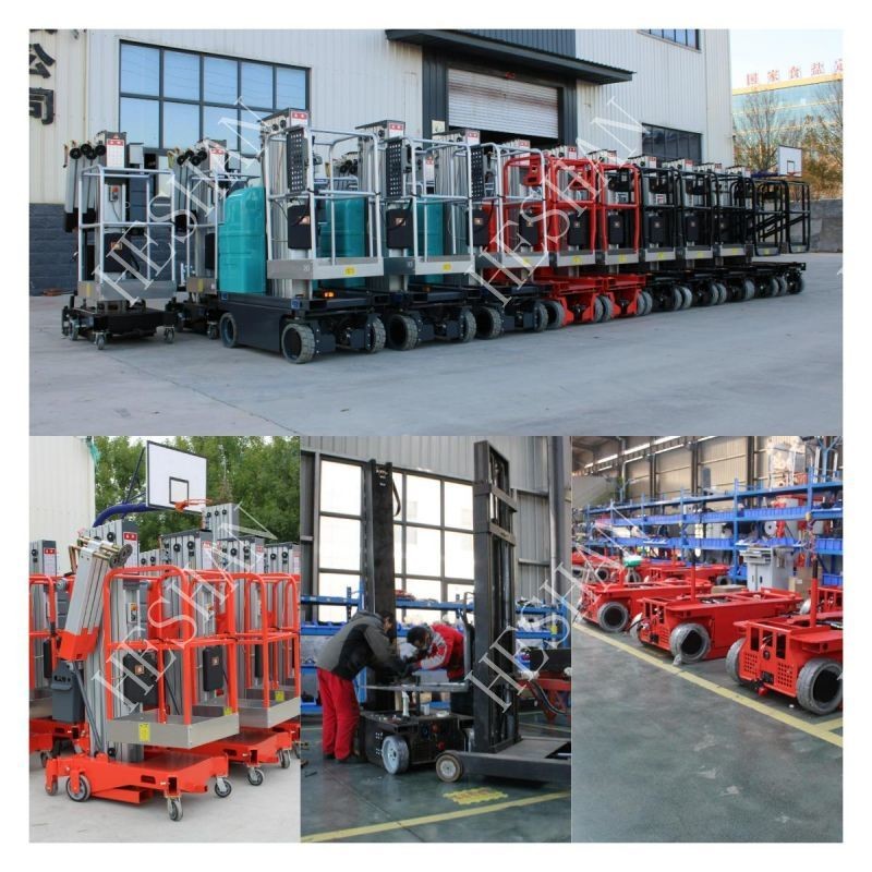 12m Electric Mast Lift Aerial Platform Hydraulic Vertical Man Lift Ladder