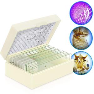 Quality Laboratory Biology Research 25pcs 30pcs Glass Microscope Slide wholesale
