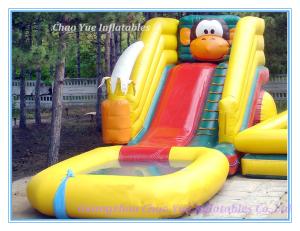Quality 2014 Hot Sale Inflatable Water Slide N Slip (CY-M2138) wholesale