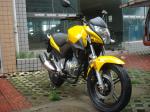 250cc Aluminum Street Sport Motorcycles Electric Start Single Cylinder Bikes