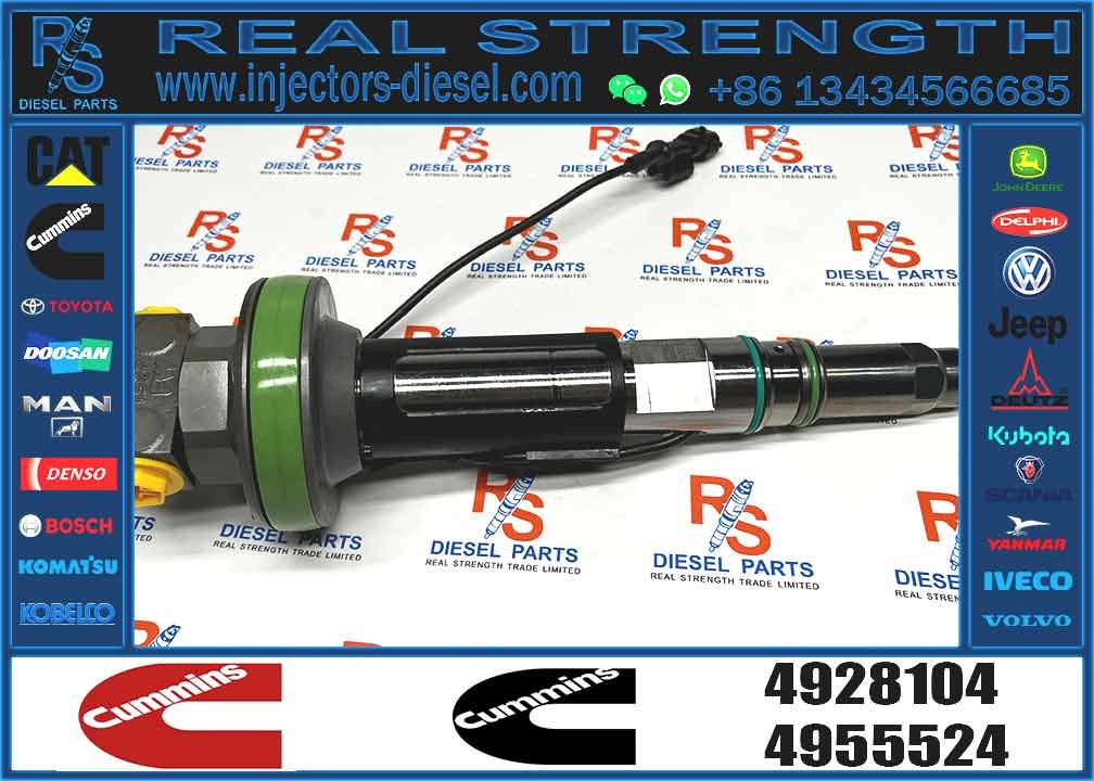 4964170 Diesel QSK19 Engine Common Rail Fuel Injector 4955524 2867149 4955527 2882079 4964173