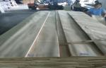 Furniture Natural Sliced Veneer Sheet Maple Wood Crown Cut chipboard