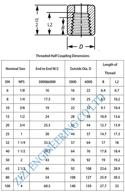 3 / 4 " Stainless Steel Half Coupling , NPT Half Coupling 3000 # ASTM A182 F310 ASME B16 11