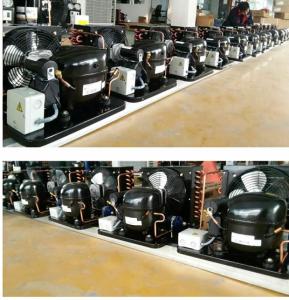 Quality ANA120XL Small compressor condensing unit 1/3HP refrigeration condensing unit 220V 60HZ r134a refrigerant condenser wholesale