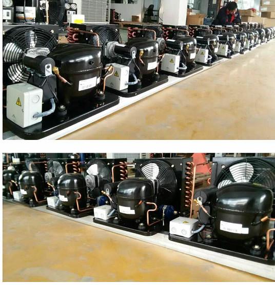 ANA120XL Small compressor condensing unit 1/3HP refrigeration condensing unit
