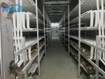 Fresh Tuna Small Tunnel Plate Blast Walk In Freezer Industrial Seafood Iqf Cold