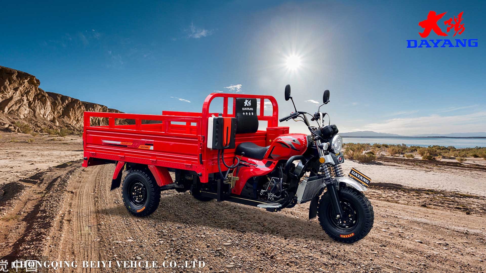 50*100 Chassis Gas Powered Tricycle for 1 Passenger and Cargo in Nigeria's Logistics