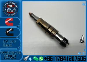 Quality 2036181 brand new Common Rail Engine Accessories Diesel Injector 2031835 2030519 2029622 wholesale
