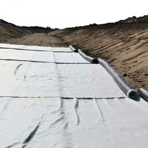 Quality White Geosynthetic Clay Liner for Waterproofing Municipal Water Conservancy Projects wholesale