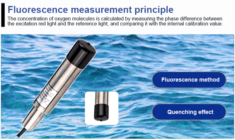 IP68 DO Measurement Sensor Meter Probe for Accurate Water Dissolved Oxygen Measurement