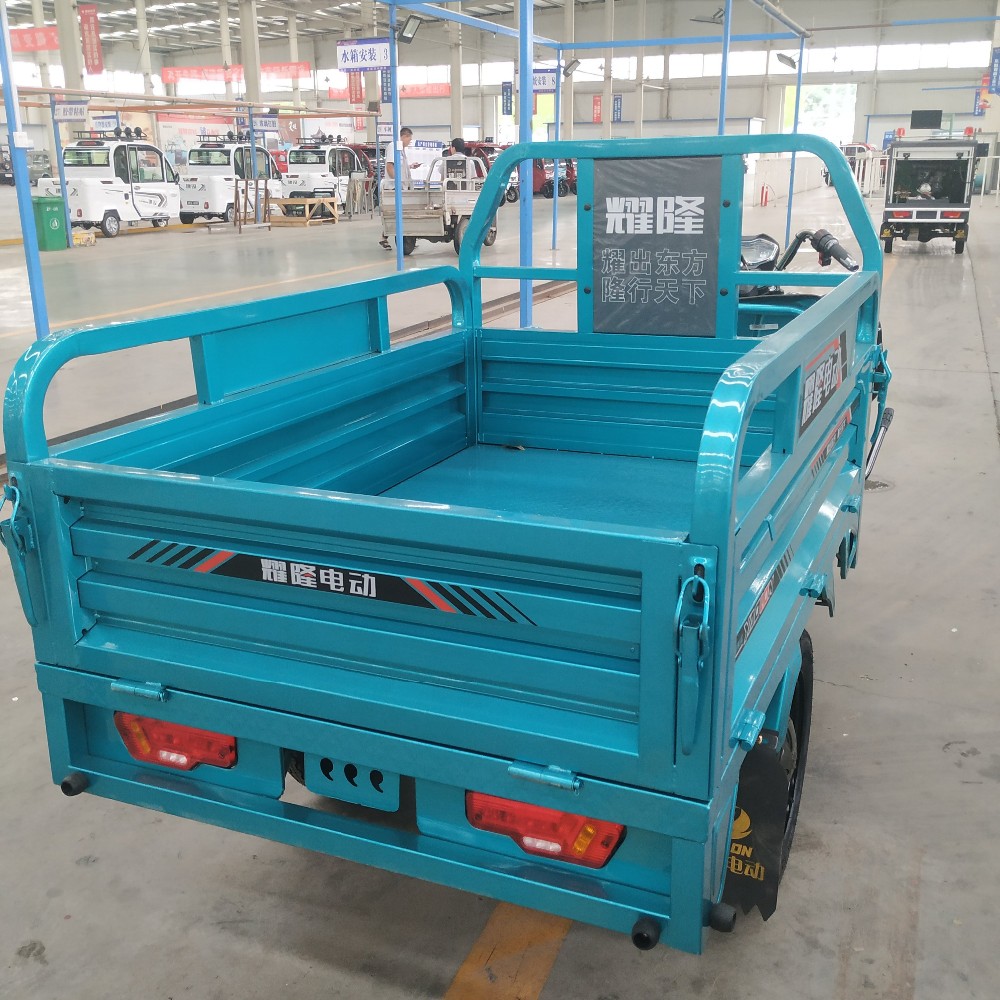 Elder Pedal Assisted 3.1m*1m Electric Cargo Tricycle