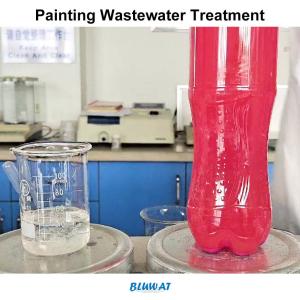 Quality Painting Water Decoloring Agent Wastewater Treatment Color Remove Chemicals wholesale