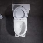 Handicap American Standard Ada Elongated Toilet 1 Piece Water Conservation
