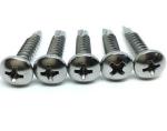 Stainless Steel 316 Cross Head Screw Self Drilling Screws DIN7504 ST4.8*25 Zinc