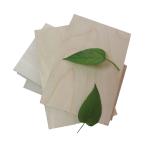 Full Hardwood Core MR 12mm Film Faced Birch Plywood
