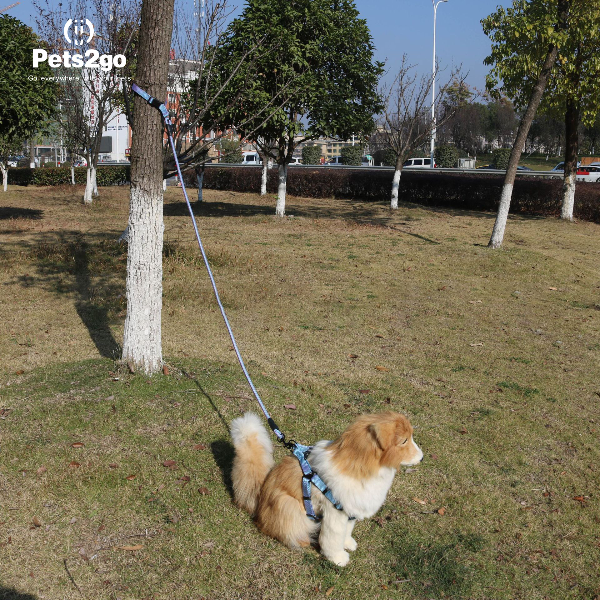 Ativity Play Shop Braided 500x1cm XL Pet Traction Rope