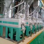 Water Mist Rice Polisher for Rice Mill Plant