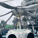 Starry Sky Outdoor Bubble Tent House Handy Installation Multifunctional Use