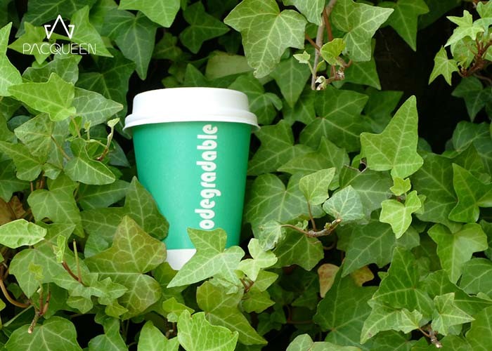 White Hot Beverage Paper Cups , Biodegradable Drinking Cups Custom Flexco Printing