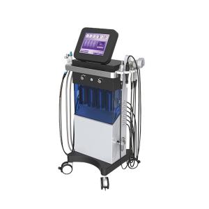 Quality H2O2 High Frequency Machine Facial Treatment 10 In 1 Skin Treatment Beauty Parlour Facial wholesale
