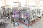 High Capacity Drinking Water Filling Plant Plastic Bottle Vertical Filling