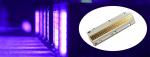 4046 3535 3838 UV LED Chips 20w 50w 100w High Density And Intensity LED COB