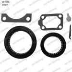 Full Gasket Kit Iron 3TN74