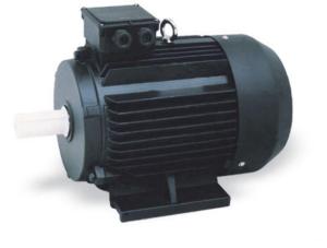 China Synchronous Industrial  3 Phase Induction Motor Medium Three Phase Voltage 380V on sale