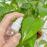 60ml-200ml PET Skincare Spray Bottle For Alcohol Disinfection