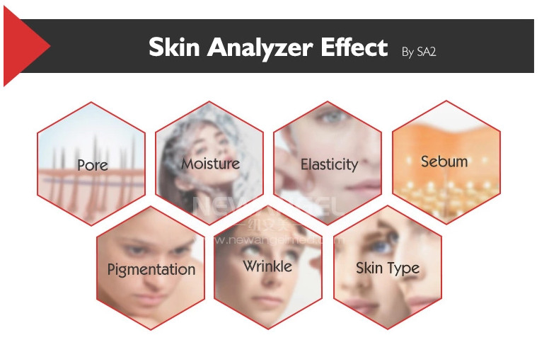 RGB Moisture Skin Analyzer Machine , Moisture Analysis with 3D Function