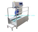Passage Boot Sole Washer , Sole Cleaning Machine For Entrance Unit In Food