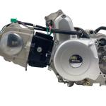 DAYANG 20kg Air Cooled 4 Stroke Electric/Kick Motorcycle Engine 1 Cylinder CDI