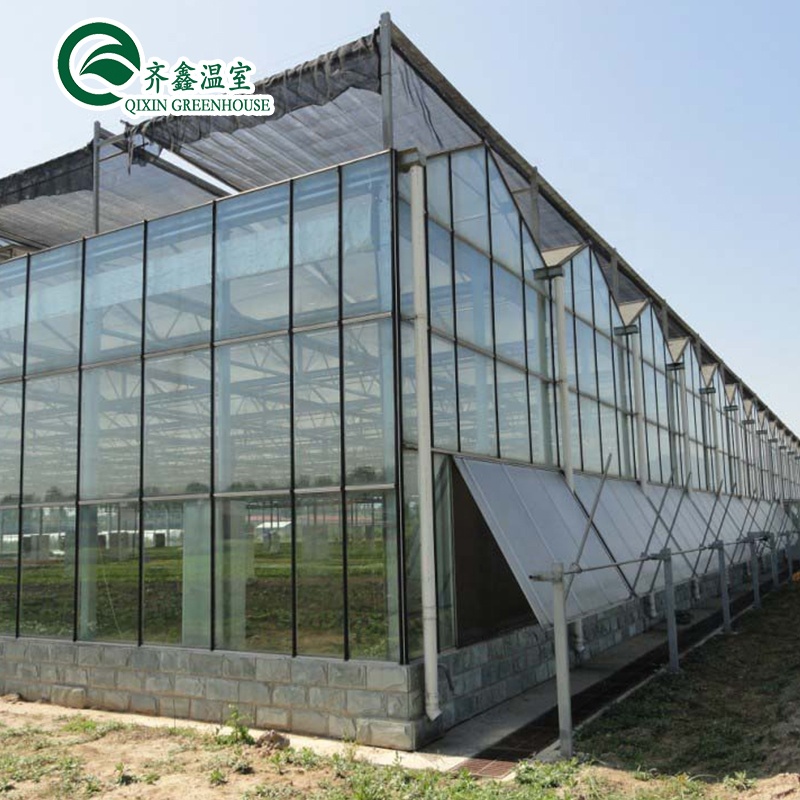 Glass Greenhouse Ventilation System with Tempered Glass or PC Sheet Top Covering