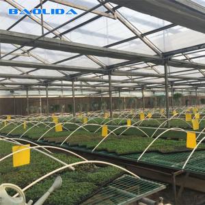 Quality Commercial Seedbed Wire Rolling Greenhouse Benches For Flowers wholesale